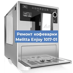Ремонт капучинатора на кофемашине Melitta Enjoy 1017-01 в Москве